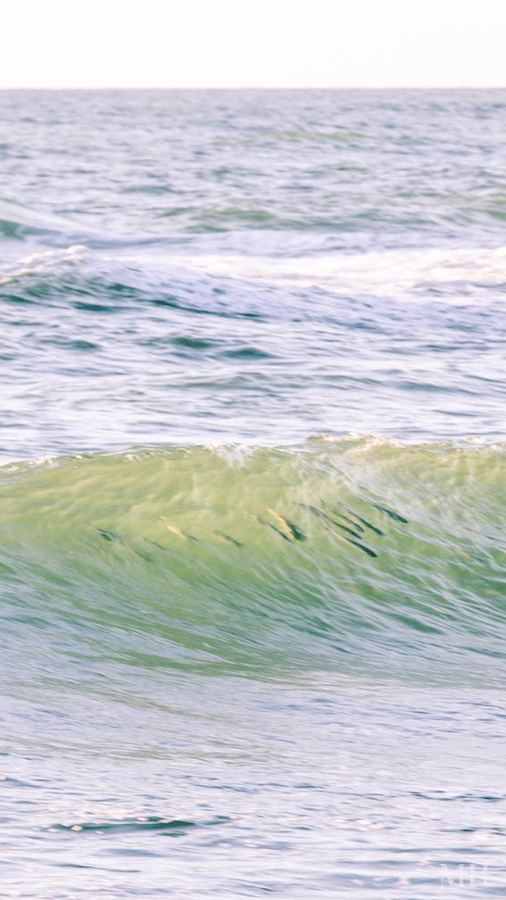 Wave breaking on the Texas Coastal Bend