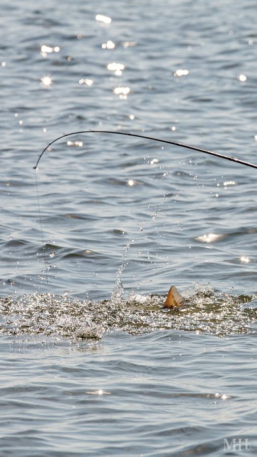 Gulf water texture, Texas Coastal Bend
