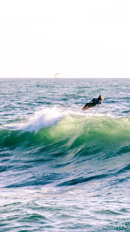 Gulf wave, Texas Coastal Bend