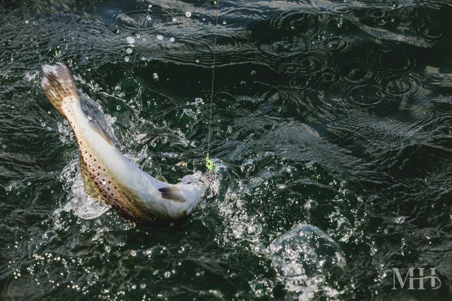 Speckled trout fishing in Corpus Christi